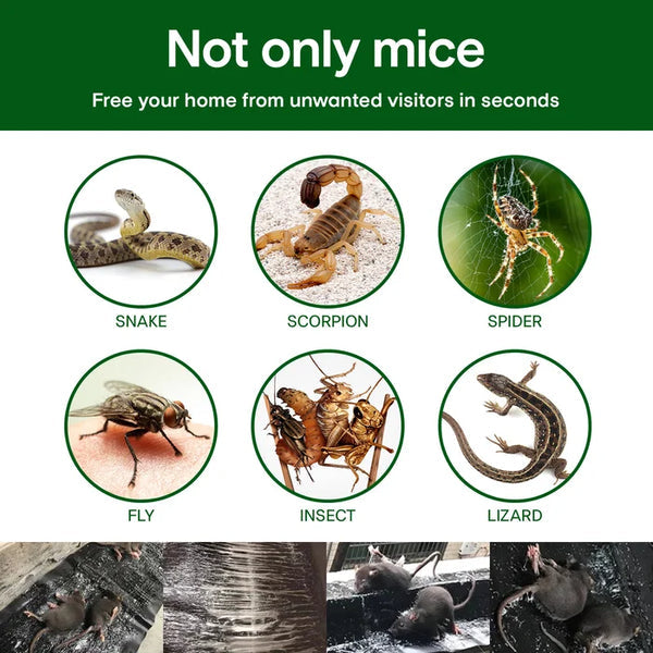Duża lepka pułapka na myszy🙅🐀