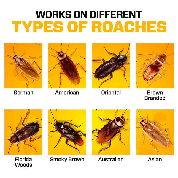 Roach® Zabójczy żel (opakowanie 24 sztuki)