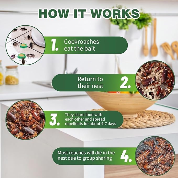 Roach® Zabójczy żel (opakowanie 24 sztuki)
