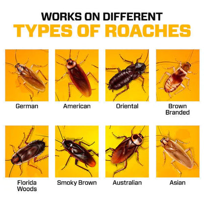 Roach® Zabójczy żel (opakowanie 24 sztuki)