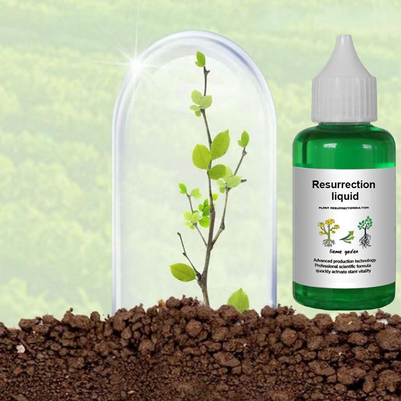 👍[Zalecany ekspert botaniczny]🌿 Botaniczny i kwiatowy aktywator(Wielka wyprzedaż ⛄ Kup 1 i otrzymaj 1 gratis)