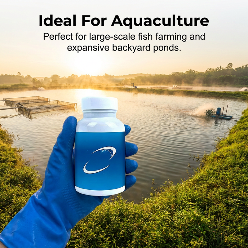 💧 Apă tulbure? Pești stresați? Rezolvi în 10 minute Tablete efervescente pentru acvarii și iazuri 🔥