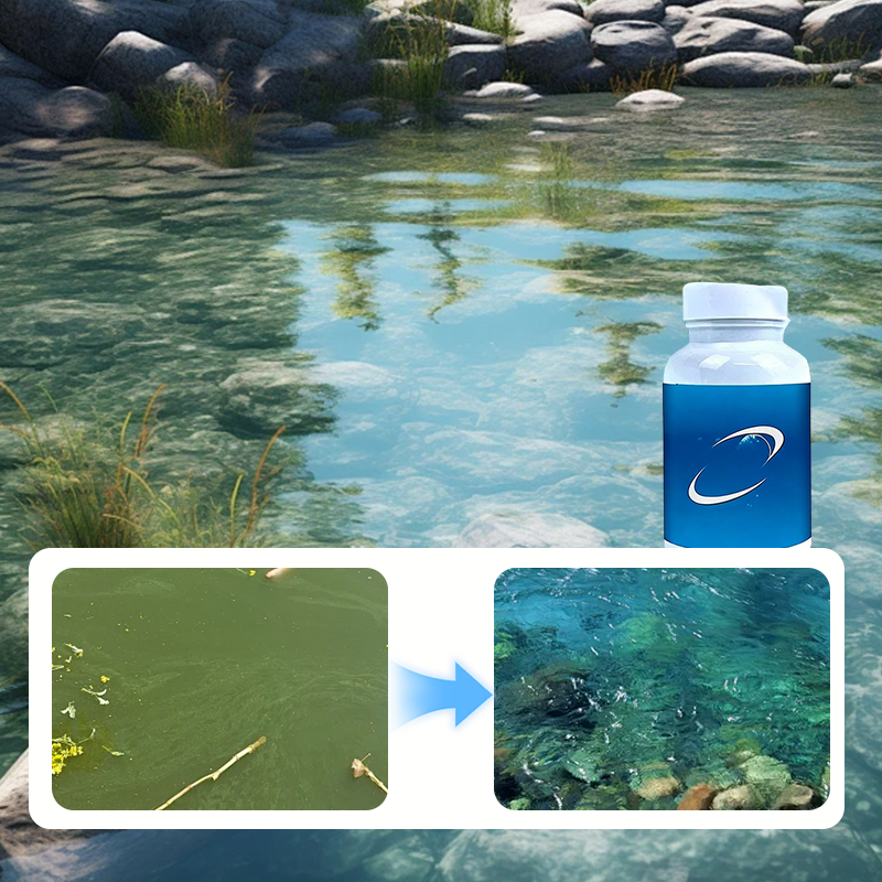 💧 Apă tulbure? Pești stresați? Rezolvi în 10 minute Tablete efervescente pentru acvarii și iazuri 🔥